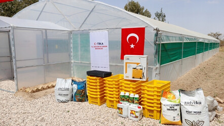 TİKA'dan Afganistan'a yardım eli: Modern seralar kurdu - dunya