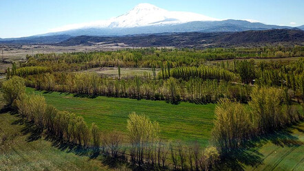 60 bin kişinin mülkiyet sıkıntısı çözülecek: 2B ile hazine arazileri için çalışmalar sürüyor - ekonomi