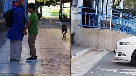 Bağcılar’da okulda pitbull paniği! Veliler ve çocuklar korku dolu anlar yaşadı - gundem