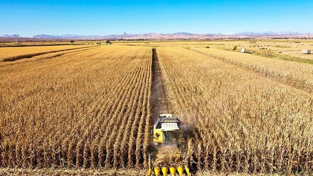 Tarımda yeni dönem başlıyor! Bakanlık 'Sözleşmeli üretim yönetim sistemi' kuracak ve işletecek - ekonomi