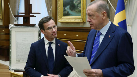 Erdoğan'ın NATO açıklaması İsveç basınında: Türkiye'ye boyun eğmekten omurgamız kırıldı - dunya
