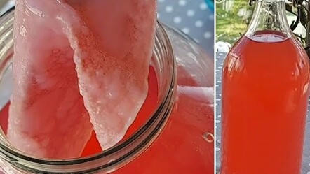 Doğal şifa hazinesi! Elma sirkesinin gün yüzüne çıkmamış faydası ve bilinmeyenleri - yemek