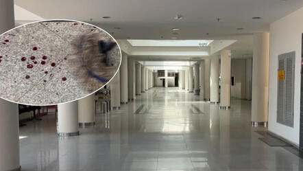 Dicle Üniversitesinde dekan yardımcısı, eski öğrenci tarafından odasında bıçaklandı - egitim