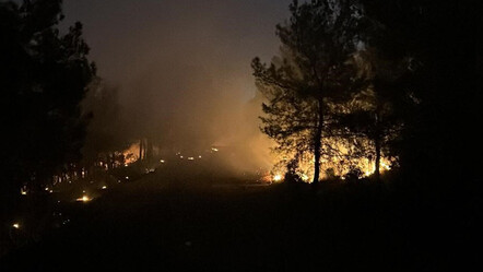 Son dakika: İzmir'de orman yangını! Alevler kontrol altında - gundem