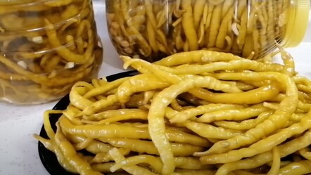 28 yıllık turşucunun lezzet sırrı! Acı biber turşusunun kütür kütür olmasını sağlıyor… - haberler