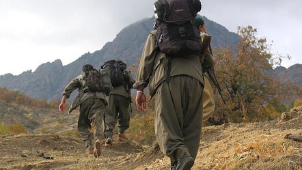 Terör örgütü PKK'da çözülmeler sürüyor! Hakkari'de 1 terörist teslim oldu - gundem