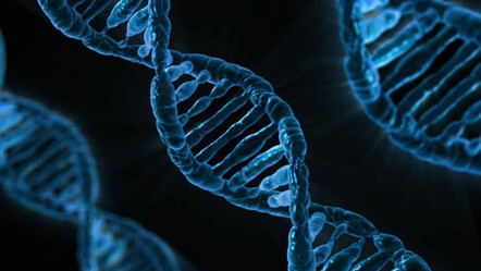 Google DNA'mıza bakacak! Hastalıklara yol açan genleri bir bir tespit edecek - teknoloji