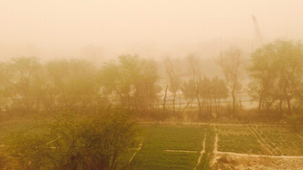 İran'da kum fırtınası alarmı! Devlet kurumları tatil edildi - dunya