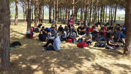 Milas'ta ormanlık alanda 154 düzensiz göçmen yakalandı - gundem