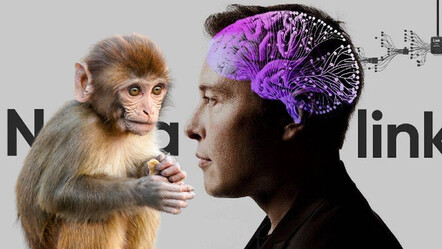 Musk'ın Neuralink'inde neler oluyor? Beyin çipi takılan deneklerin tüyler ürpertici ölümündeki sır perdesi aralandı - dunya