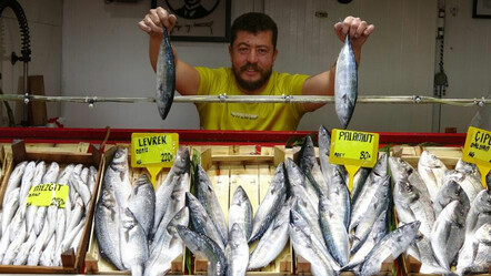 Kırmızı ete alternatif oldu... Sezonun ilk palamutları tezgaha çıktı! Fiyatlardan alan da memnun, satan da - ekonomi