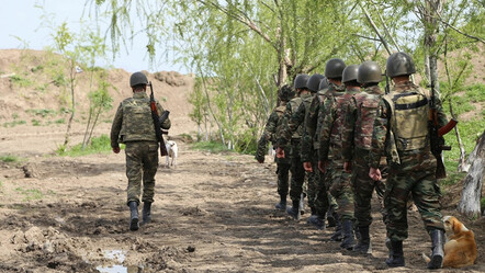 Azerbaycan, Karabağ'da silah bırakan Ermeniler için 'genel af' öngörüyor - dunya