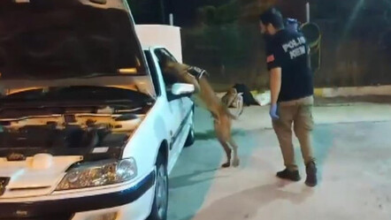 TEM’de durduruldu, paket paket çıktı - gundem