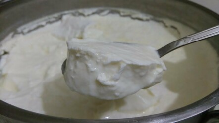 İşin sırrını 41 yıllık yoğurtçu paylaştı! Yoğurdu kaya gibi mayalama tekniği - YEMEK