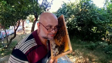 Sokmayan arılarla bal hasadı! Lavanta diyarında tonlarca üretiliyor - gundem