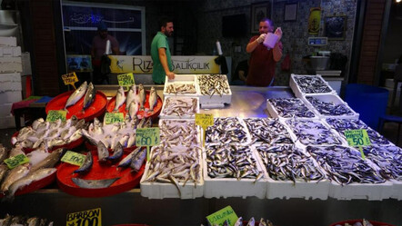 Tezgahta balık bereketi: Çeşit bol; hamsi, istavrit, mezgitte fiyatlar dibi gördü... - ekonomi