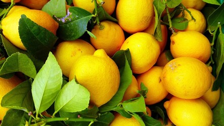 Limondaki büyük tehlike. Dikkat edilmezse zararı çok büyük oluyor... - ekonomi