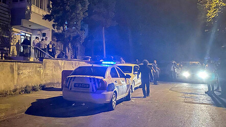 İstanbul'da dehşete düşüren olay! Boğazı kesik köpek bulundu - gundem