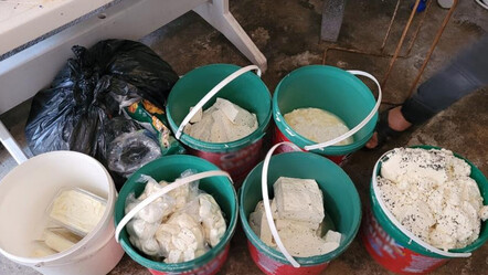 Peynir imalathanesinde mide bulandıran görüntüler! Bunları vatandaşa yediriyorlar - yasam