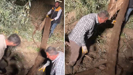 Su borusunu tamir eden işçiler gördükleri karşısında korkuya kapıldı, gerçek çok başka çıktı! - gundem