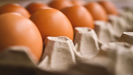 Uzmanlar önerdi! Yumurtadan çok daha fazla protein içeriyormuş... Günde 1 adet tüketin - saglik