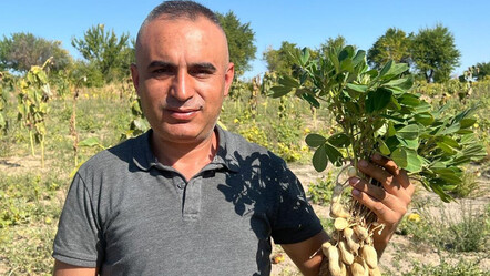 Enkazdan çıkardığı çocuğun ailesi hediye etti..Hasat için kolları sıvadı: Rekolte yüksek, köylü şimdiden sırada - ekonomi