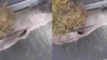 Gaziosmanpaşa'da sele kapılan bir kadın metrelerce sürüklendi! Dehşet anı kamerada - gundem