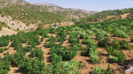 Diyarbakır'da yüzlerce kilo uyuşturucu ele geçirildi - gundem