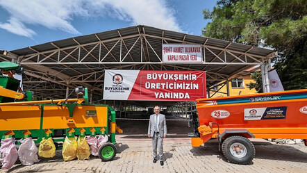 Zeytin üreticilerinin yüzünü güldürecek hamle: Yüzde 100 hibe desteği verilecek - ekonomi