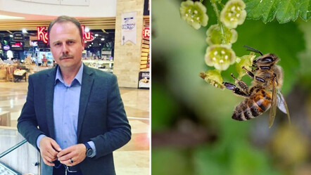 Yıllardır baktığı arılar sonu oldu: Boğazı şişen adam can verdi - gundem
