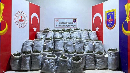 Terörün finans kaynağı kurutuluyor! Diyarbakır’da 10 bin kök kenevir ve 202 kilo esrar ele geçirildi - dunya