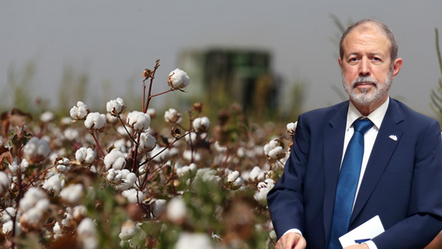 Üretim kapasiteleri düştü.. Türk pamuğu değersiz hale geldi: Fabrikalar kapanıyor - yasam