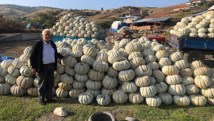 Üretimde rekor artış! 40 çiftçi ekim yaptı, tam 1000 tonluk mahsul toplandı - ekonomi