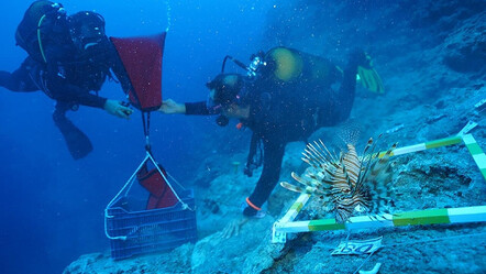 Antalya kıyılarındaki 'dünyanın en eski batığı'ndan çıkanlar arkeologları heyecanlandırdı - kultur-sanat
