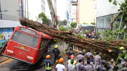 Sri Lanka'da sel şehri yerle bir etti! Ağaç otobüsü kağıt gibi ezdi... Çok sayıda kişi öldü - ekonomi