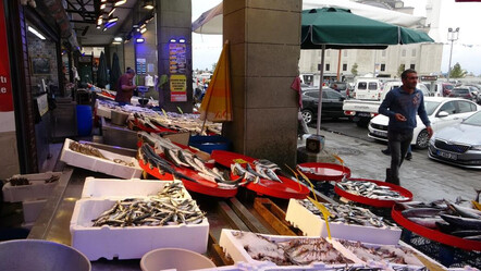 Kayıp balık bulundu! Tezgahlar zenginleşti: Fiyatı 150 TL - ekonomi