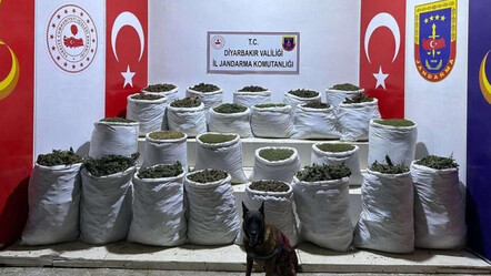 Diyarbakır'da uyuşturucu operasyonu: 603 kilogram esrar ele geçirildi - gundem