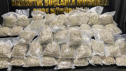 Antalya'da torbacılara baskın! 44 kilo esrar ve 2 adet tabanca ele geçirildi - gundem