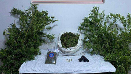 Zehir tacirlerine göz açtırılmıyor! 3 noktaya operasyon - gundem