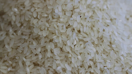 Pirincin taşını değil, DNA'sını ayıkladılar... Çinli bilim insanlarının 'genetik' buluşu çiftçilere umut olacak - teknoloji