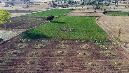 Bozkırda 25 dönüme ekildi, beklenti yaklaşık 200 ton: Şeker pancarında hasat bu yıl yüz güldürecek - ekonomi