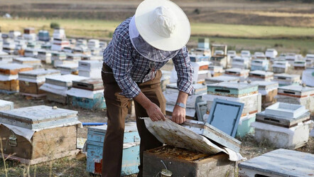 Kanser hastası oğlu bal ile şifa bulan baba arıcılık yapmaya başladı - gundem