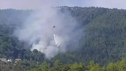 Antalya'da orman yangını! 2 dönümlük ormanlık alan zarar gördü - gundem