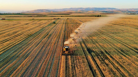 Tarım ve Orman Bakanlığı harekete geçti: 700 bin hektarda arazi toplulaştırma çalışması başlatılıyor - ekonomi