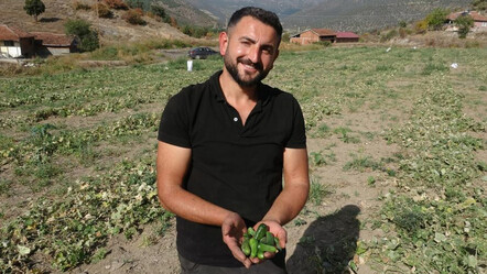 Bu da 'diplomalı turşucu': Atanamadı ama yaptığı üretimle örnek oldu: Yoğun ilgi görüyor - hayatin-icinden