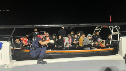 Muğla'da 113 düzensiz göçmen yakalandı: 1 kişi gözaltına alındı - gundem