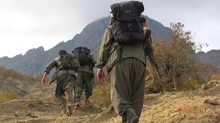 Teröre geçit yok! Türkiye'ye girmeye çalışan PKK'lı sınırda yakalandı - gundem