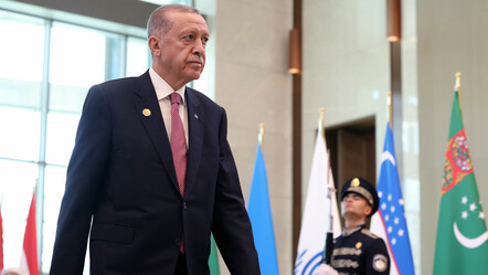 Cumhurbaşkanı Erdoğan, Ekonomik İşbirliği Teşkilatı Liderler Zirvesinde konuştu - gundem