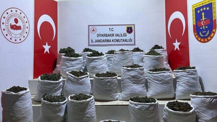 Uyuşturucu tacirlerine darbe: 280 kilo esrar ve 244 bin 500 esrar bitkisi ele geçirildi - gundem