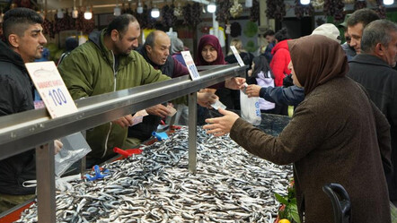 Denizlerdeki fırtına balık tezgahlarını vurdu: Hamsinin kilosu 100 TL'ye çıktı - ekonomi